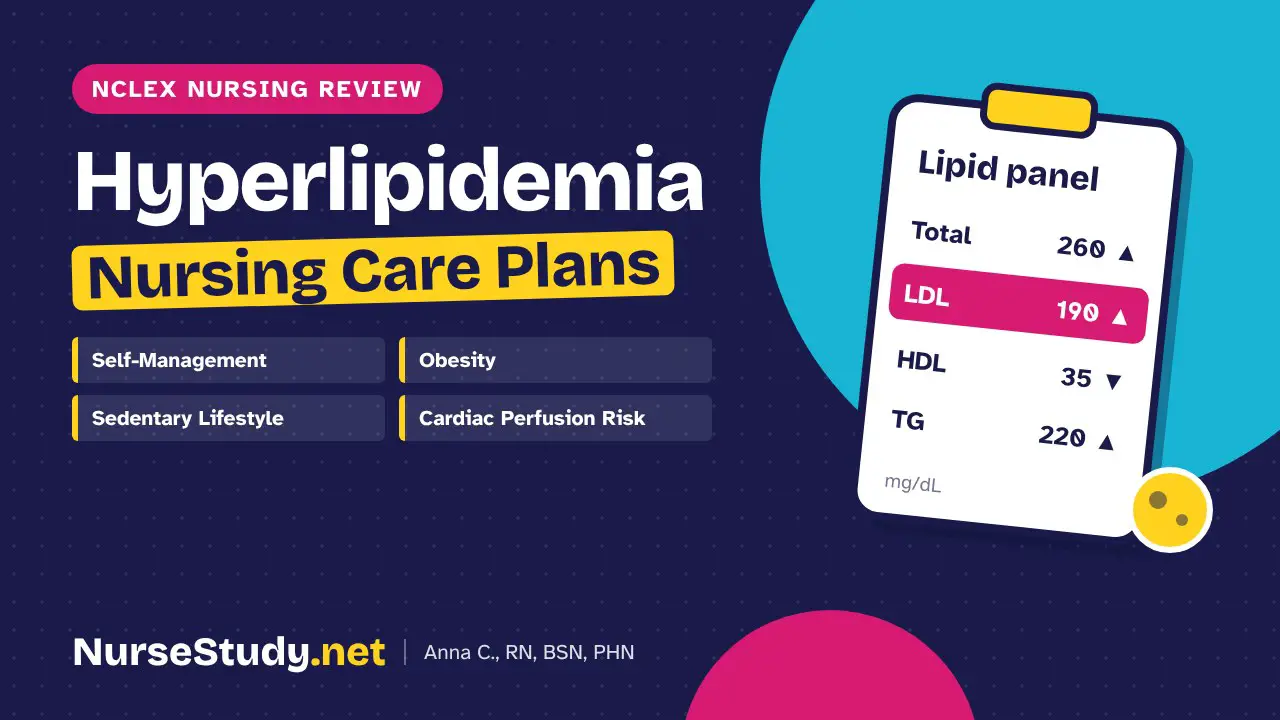 Hyperlipidemia nursing care plans – NCLEX nursing review, NurseStudy.net