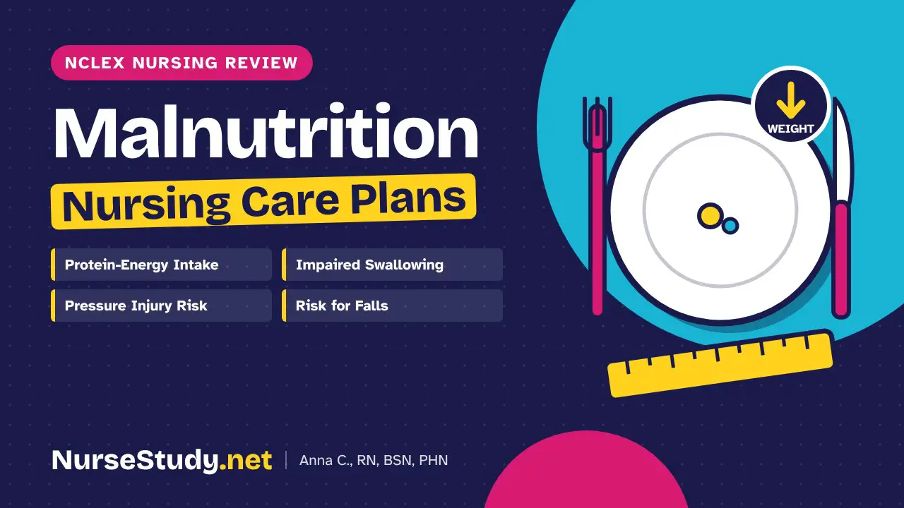 Malnutrition nursing care plans - NCLEX nursing review, NurseStudy.net