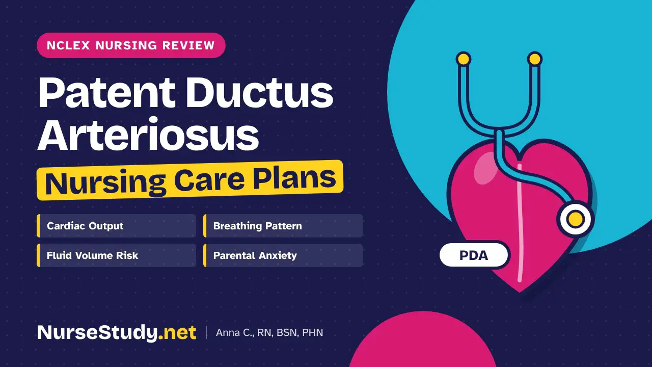 Patent Ductus Arteriosus nursing care plans – NCLEX nursing review, NurseStudy.net